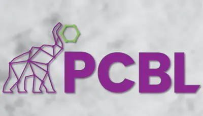 PCBL Share Price Target 2026, 2027, 2030, 2040, 2050 2 pcbl