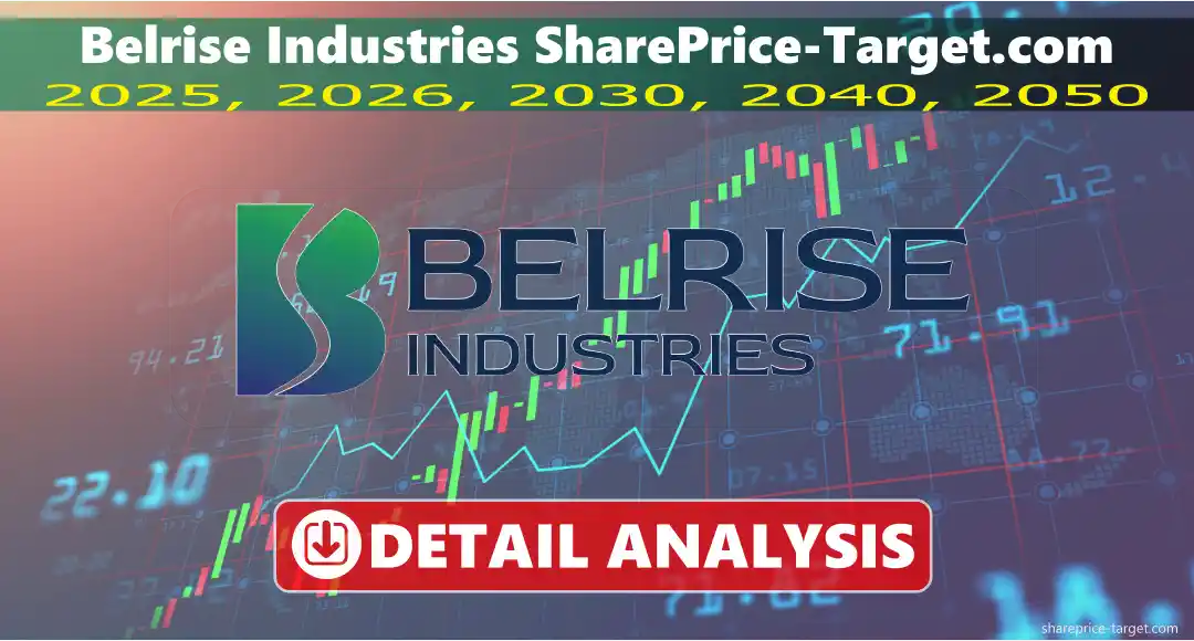 Belrise Industries Share Price Target 2026, 2027, 2030, 2040, 2050