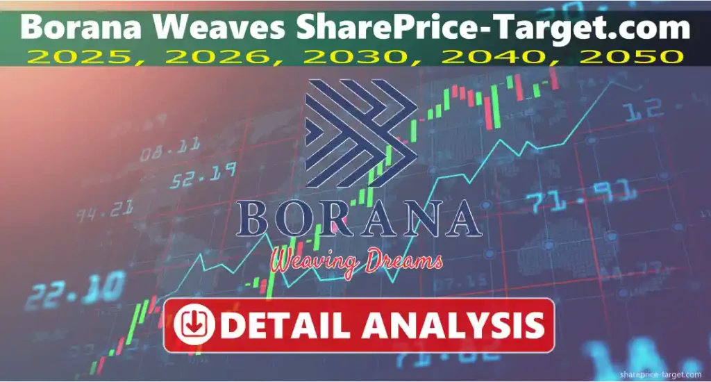 Borana Weaves Share Price Target, 2025, 2026, 2030, 2040 3 Borana Weaves share price target