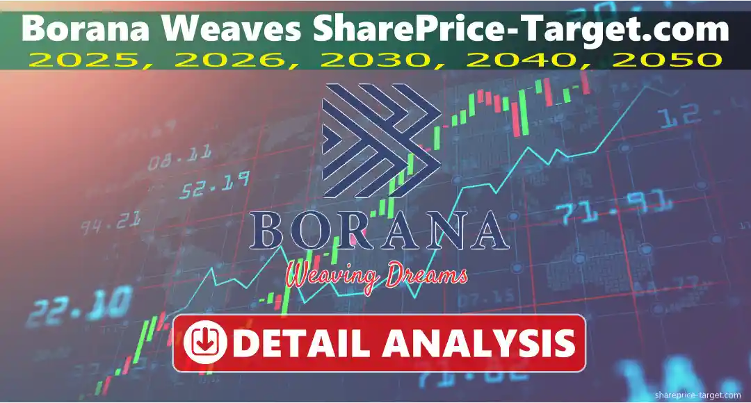 Borana Weaves share price target