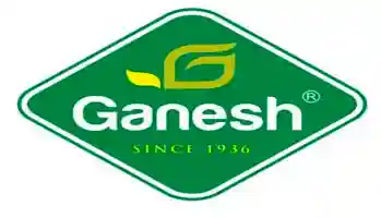 Ganesh Consumer Products Share Price Target 2026, 2027, 2030, 2040, 2050 2 Ganesh Consumer Products